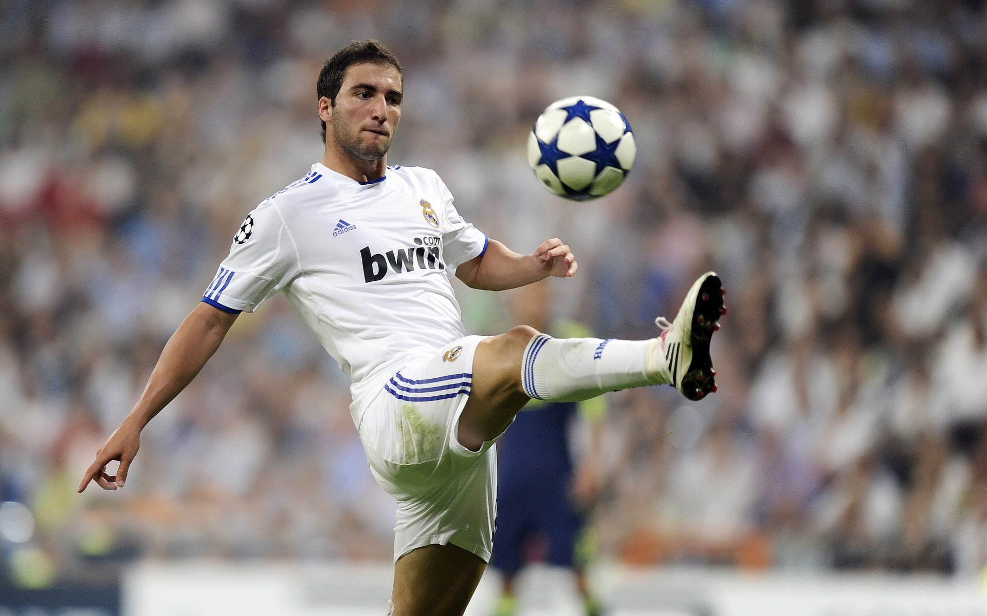 NFL中国观赛人群突破千万，美式橄榄球走红社交平台，nfl美国职业橄榄球