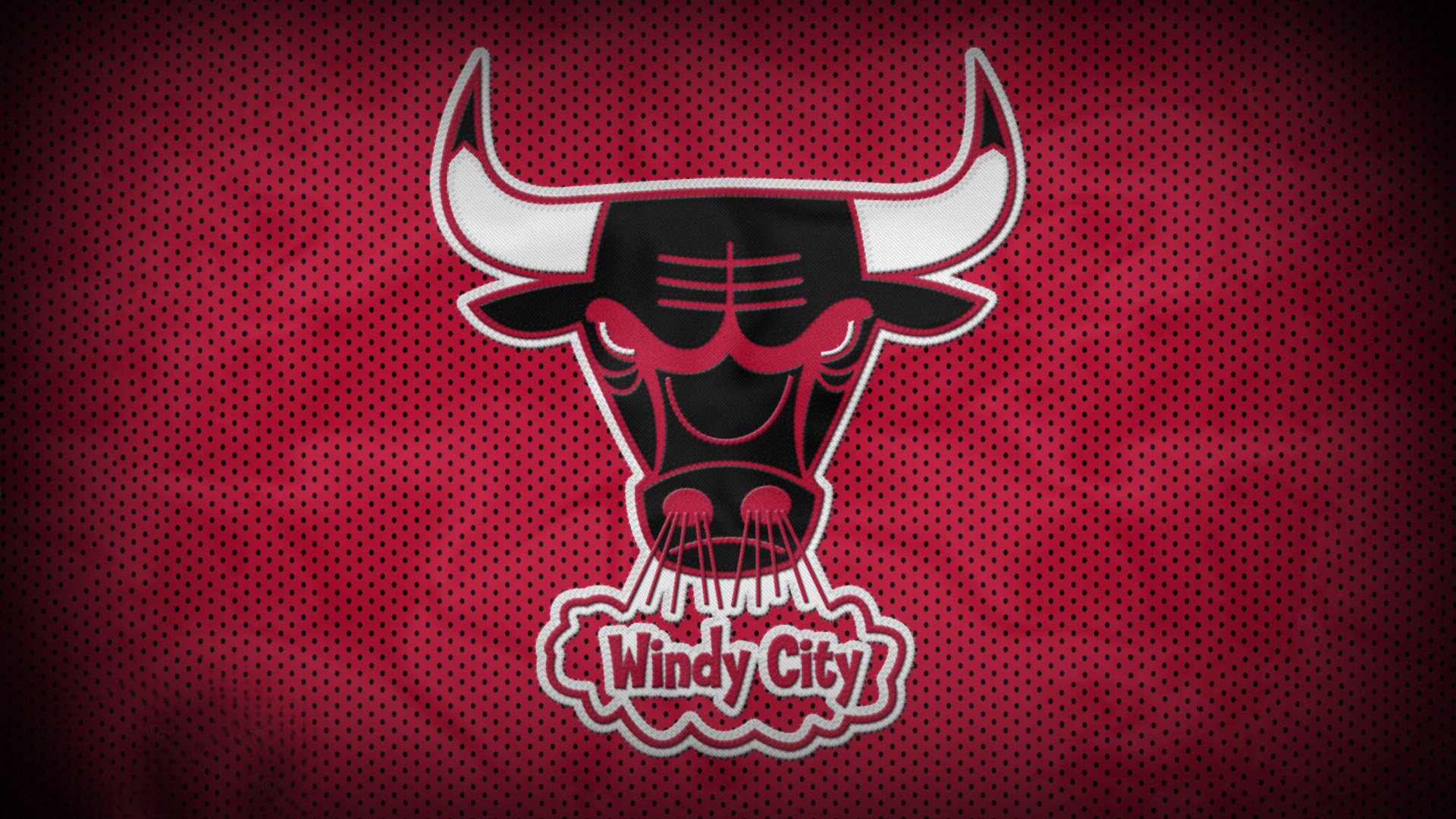 伊朗马术协会与国际马术联合会合作，举办国际马术交流活动，促进技术交流。