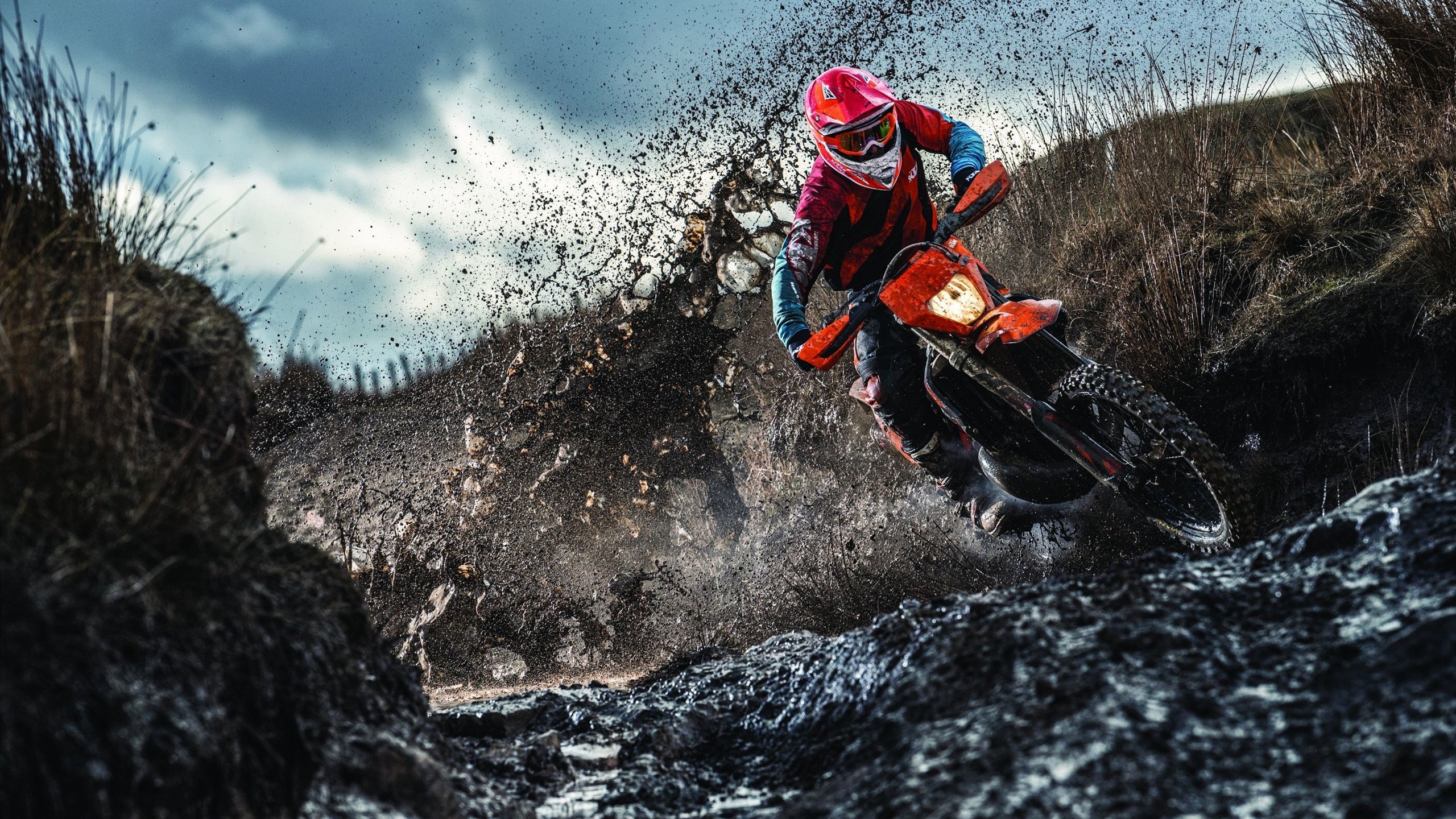 体坛传奇：老将重返赛场，再创辉煌，中国体育老将